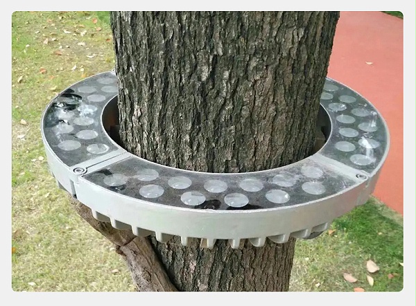 抱树灯