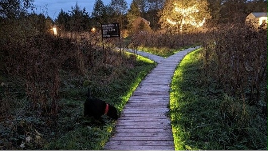 防眩光灯具怎么挑？道路与园区亮化选型